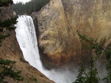 Lower Falls de la rivière Yellowstone